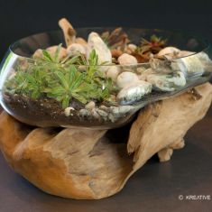 Glas Driftwood Vase Gross